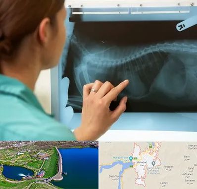 رادیولوژی پرندگان در مهاباد