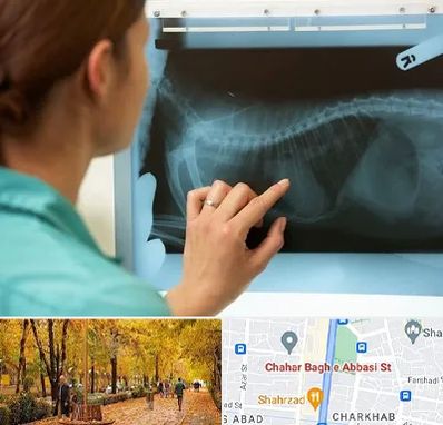 رادیولوژی پرندگان در چهارباغ اصفهان