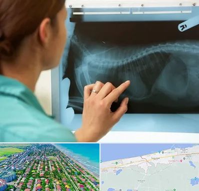 رادیولوژی پرندگان در فریدونکنار