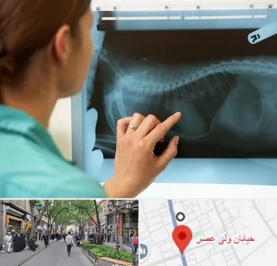 رادیولوژی پرندگان در ولیعصر شهریار