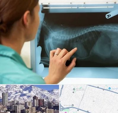 رادیولوژی پرندگان در ازگل