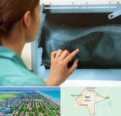 رادیولوژی پرندگان در ساری