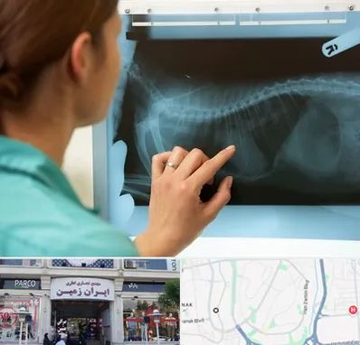 رادیولوژی پرندگان در ایران زمین