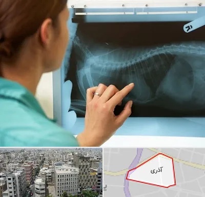 رادیولوژی پرندگان در آذری