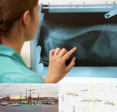 رادیولوژی پرندگان در میدان خراسان