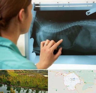 رادیولوژی پرندگان در بهبهان