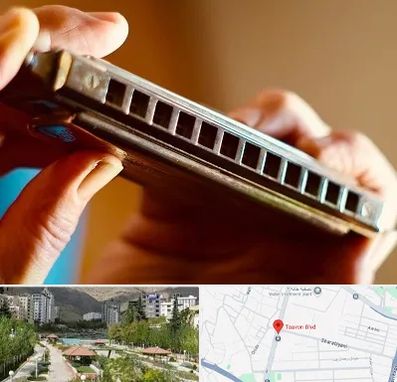 آموزشگاه سازدهنی در بلوار تعاون