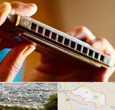 آموزشگاه سازدهنی در یاسوج