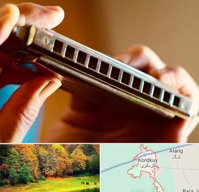 آموزشگاه سازدهنی در کردکوی