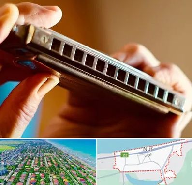 آموزشگاه سازدهنی در نور