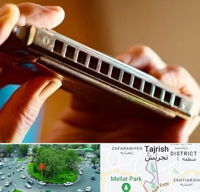 آموزشگاه سازدهنی در تجریش 