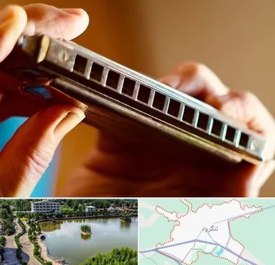 آموزشگاه سازدهنی در لنگرود
