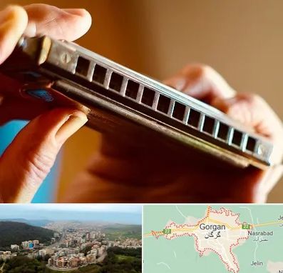 آموزشگاه سازدهنی در گرگان