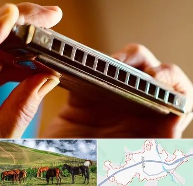 آموزشگاه سازدهنی در تالش