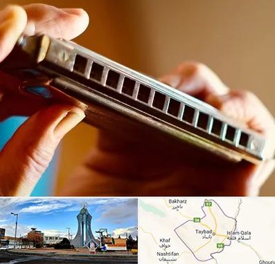 آموزشگاه سازدهنی در تایباد