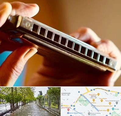 آموزشگاه سازدهنی در خیابان ارم شیراز