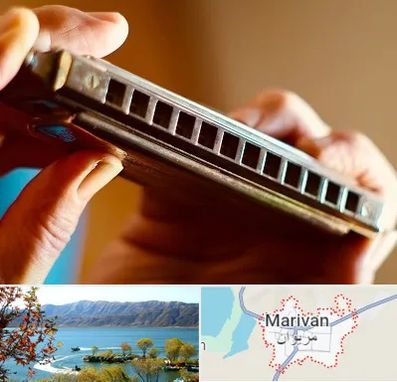 آموزشگاه سازدهنی در مریوان