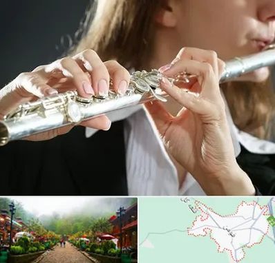 آموزشگاه فلوت در فومن