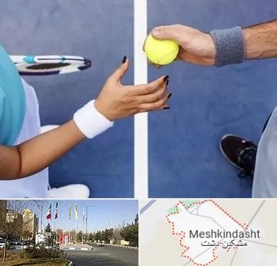 مربی تنیس در مشکین دشت