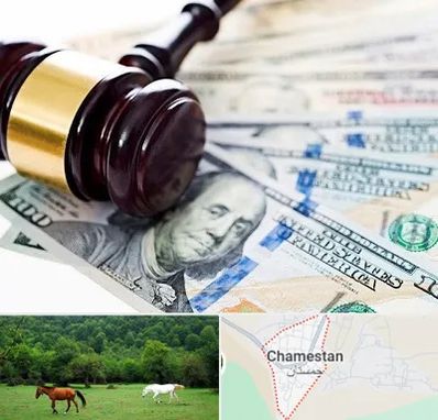 وکیل بانکی در چمستان