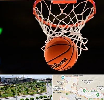 مربی بسکتبال در پردیس