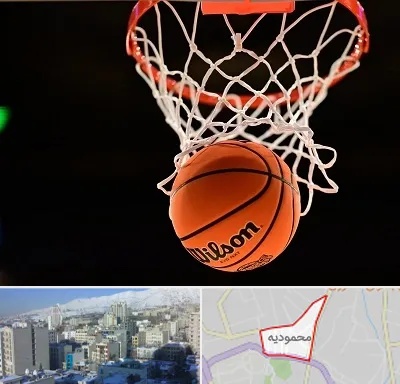 مربی بسکتبال در محمودیه