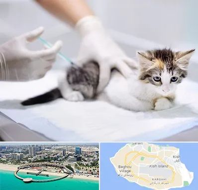 واکسیناسیون حیوانات در کیش