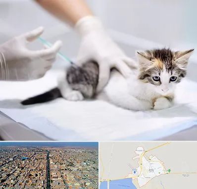 واکسیناسیون حیوانات در بندر ماهشهر