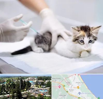 واکسیناسیون حیوانات در رودسر