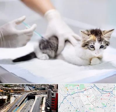 واکسیناسیون حیوانات در ستارخان شیراز