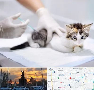 واکسیناسیون حیوانات در میدان حر 