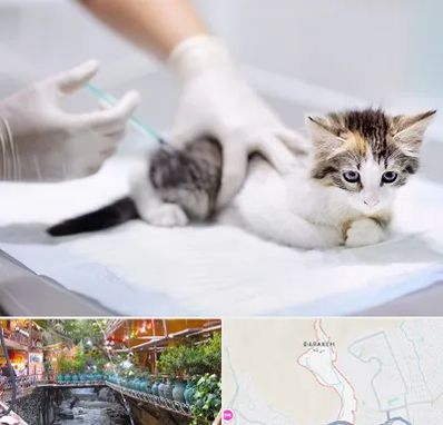 واکسیناسیون حیوانات در درکه