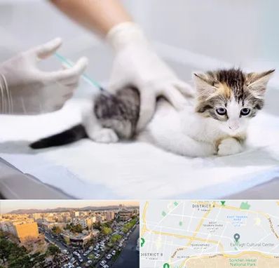 واکسیناسیون حیوانات در تهرانپارس 