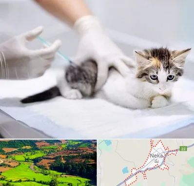 واکسیناسیون حیوانات در نکا