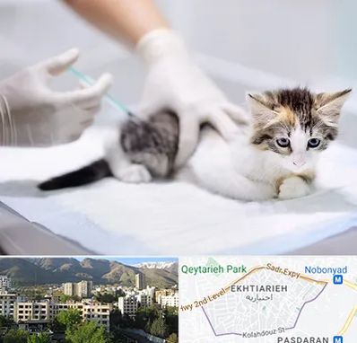 واکسیناسیون حیوانات در اختیاریه 