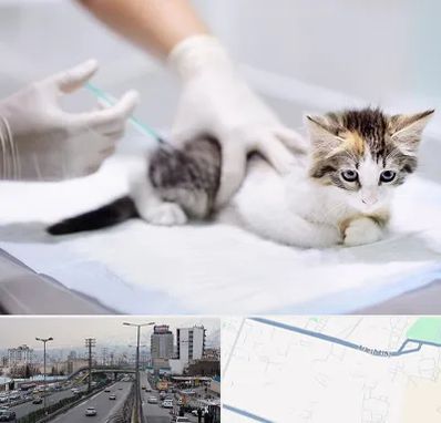 واکسیناسیون حیوانات در بلوار ارتش