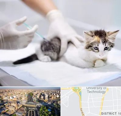 واکسیناسیون حیوانات در استاد معین 