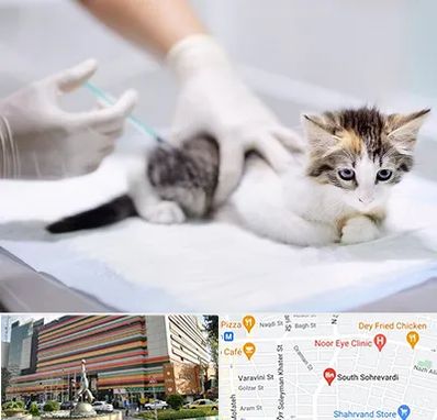 واکسیناسیون حیوانات در سهروردی 