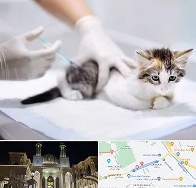 واکسیناسیون حیوانات در زرگری شیراز