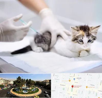 واکسیناسیون حیوانات در هفت حوض 