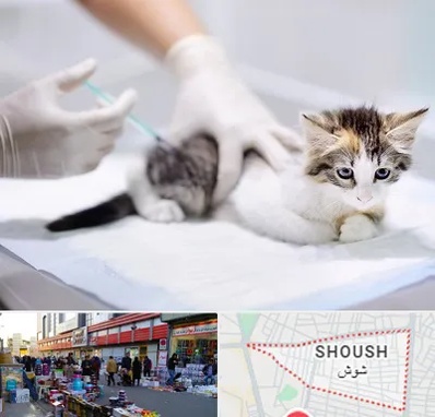 واکسیناسیون حیوانات در شوش