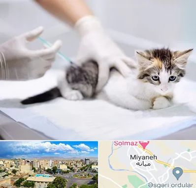 واکسیناسیون حیوانات در میانه