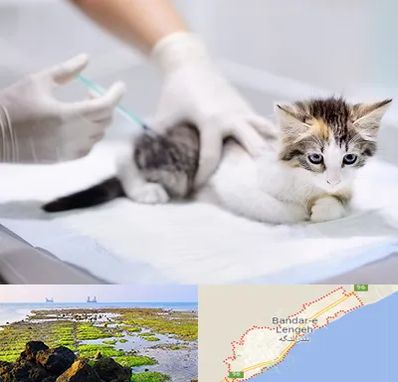 واکسیناسیون حیوانات در بندرلنگه