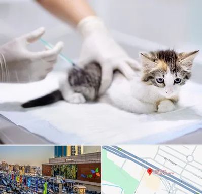 واکسیناسیون حیوانات در لاله پارک تبریز