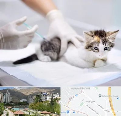 واکسیناسیون حیوانات در شهر زیبا 