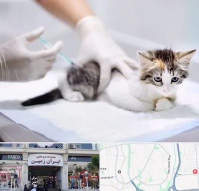 واکسیناسیون حیوانات در ایران زمین