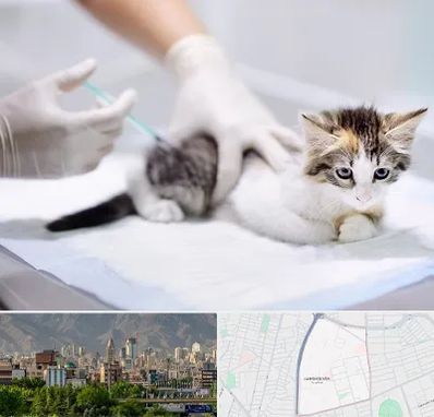 واکسیناسیون حیوانات در جمشیدیه