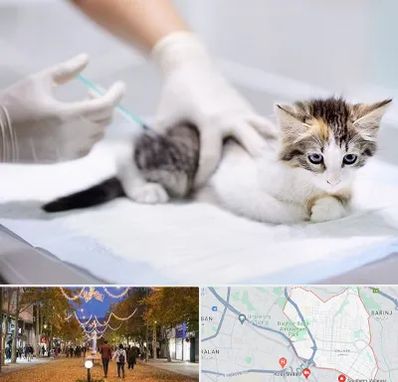 واکسیناسیون حیوانات در ولیعصر ارومیه