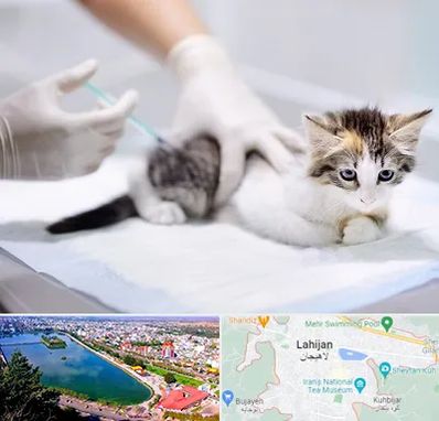 واکسیناسیون حیوانات در لاهیجان