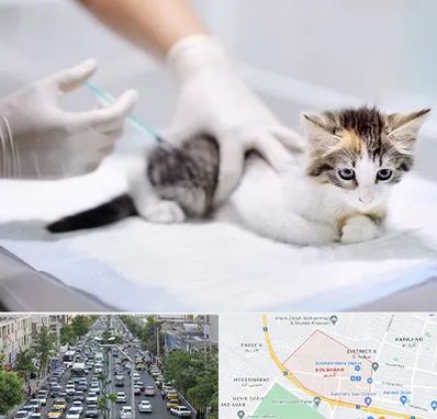 واکسیناسیون حیوانات در گلشهر کرج